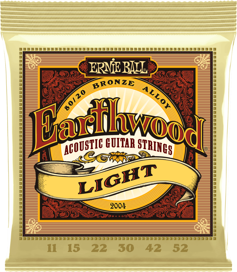 Ernie Ball Earthwood P02004